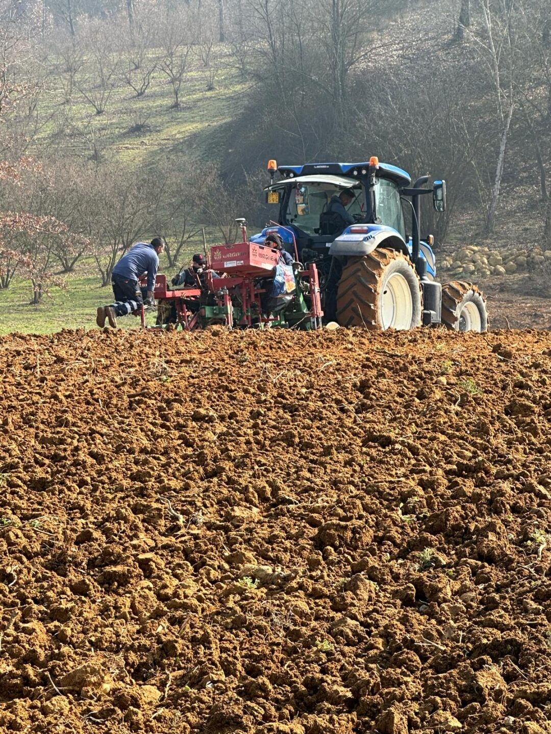 Making the vineyard ready for planting