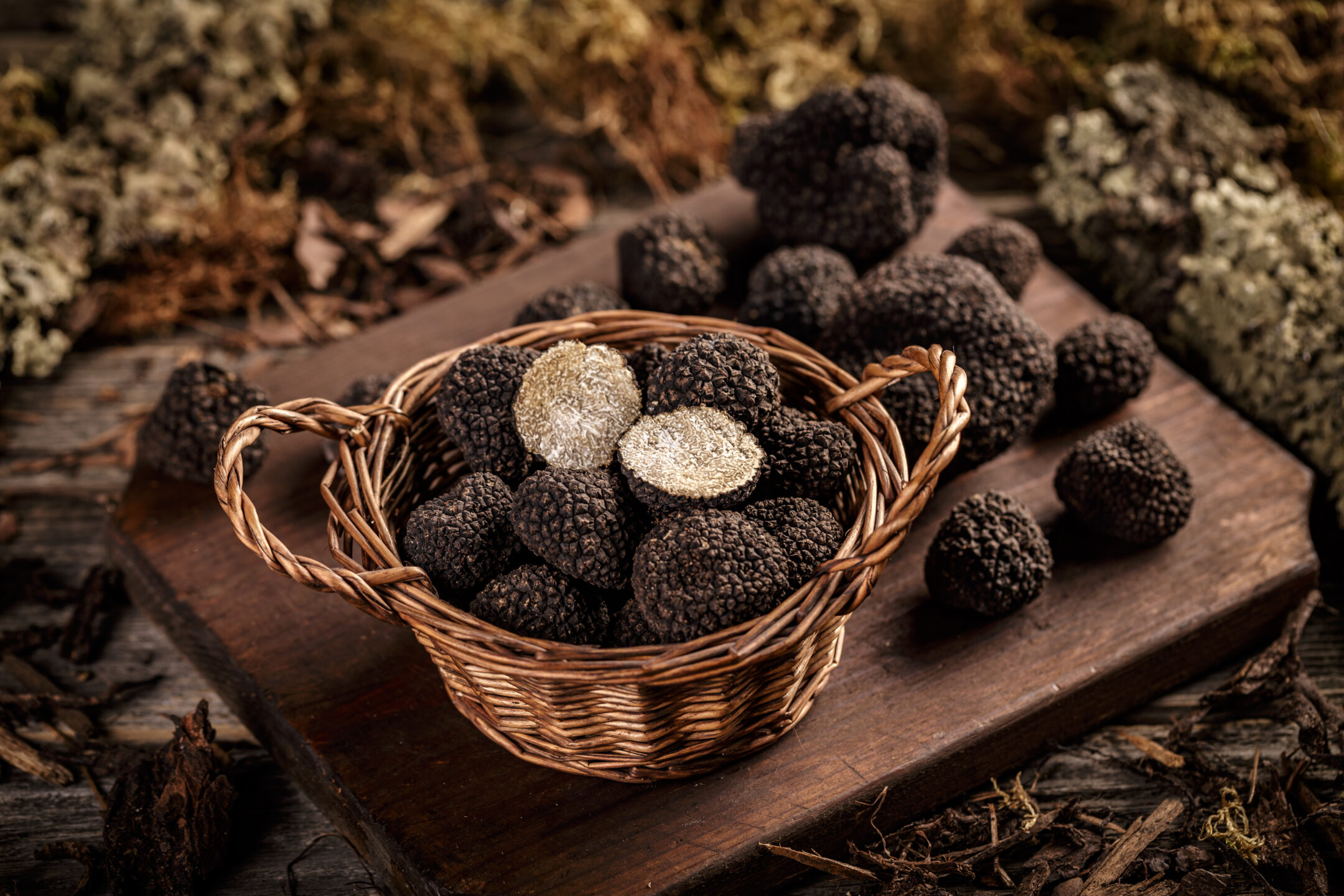 black truffle