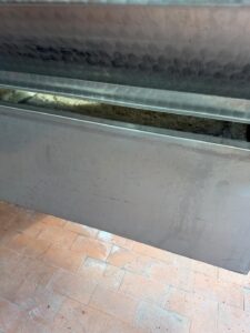 grapes pressed to must